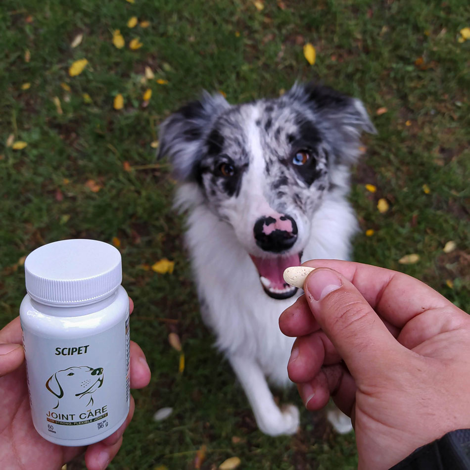 SciPet Articolazioni Sane compresse per cani - 3x60 pezzi - immagine 2