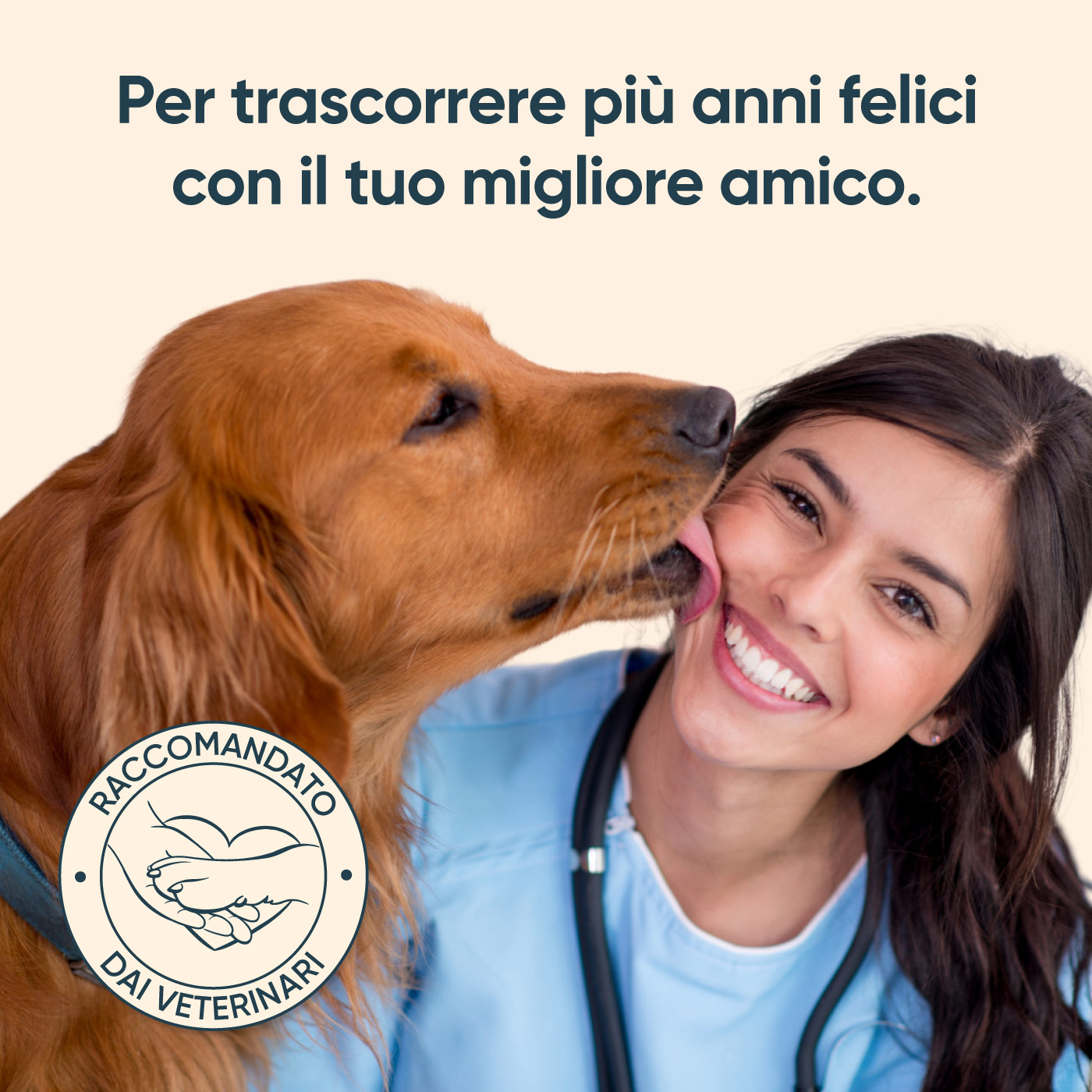 SciPet Polvere Dentale per cani – 4x60 g - immagine 2