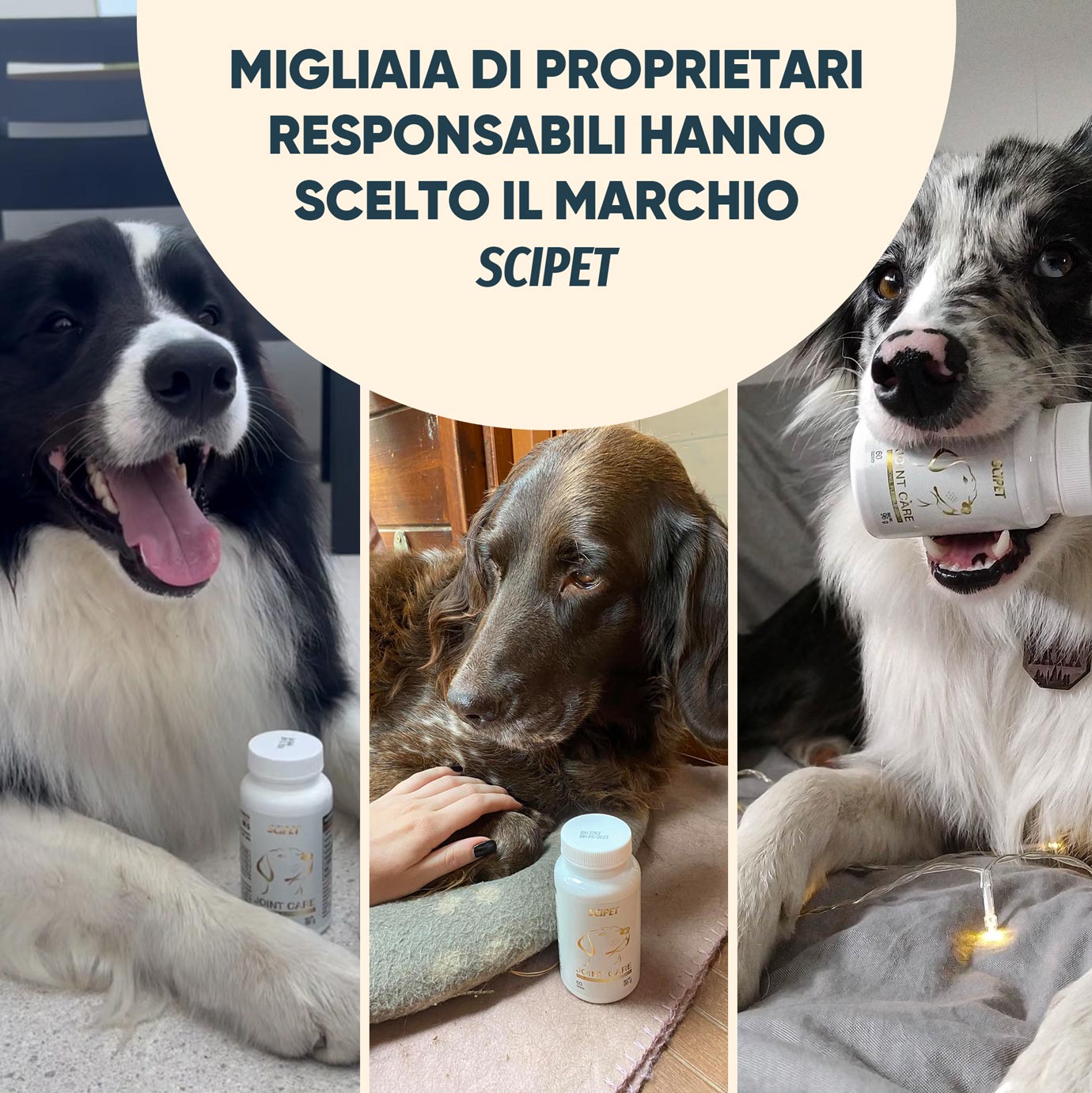SciPet Polvere Dentale per cani – 4x60 g - immagine 4