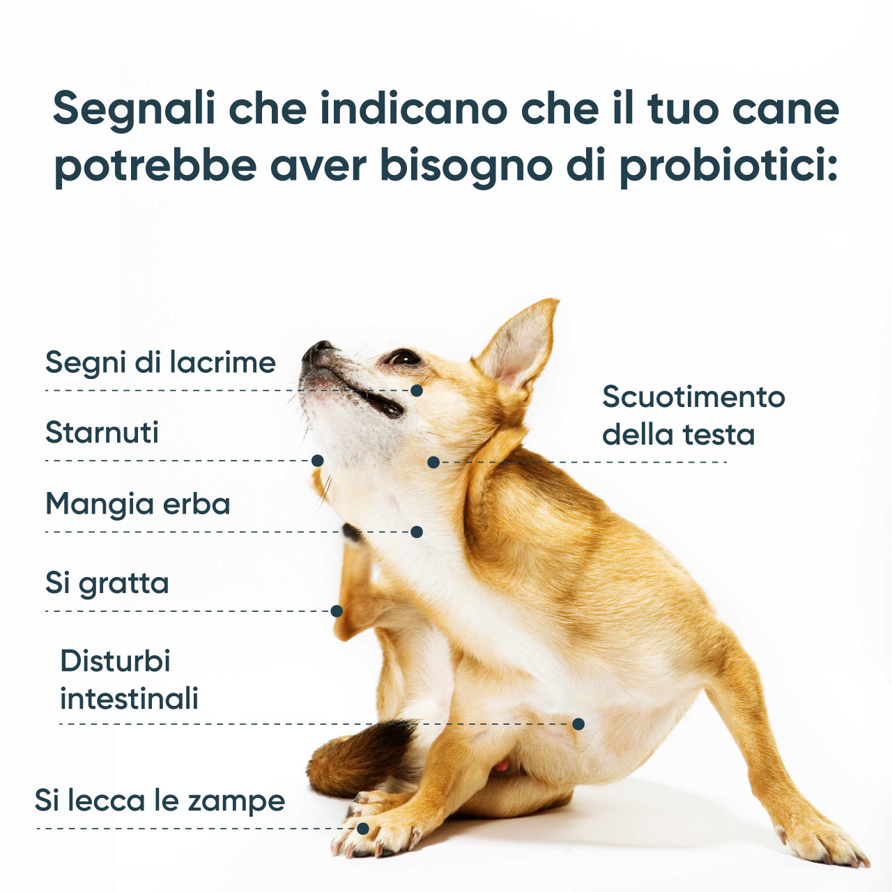 Probiotici SciPet per Cani - 3x60 pezzi - immagine 2